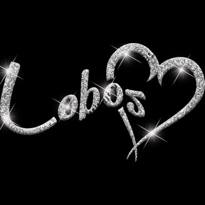 GLT6 SILVER GLITTER Thumbnail