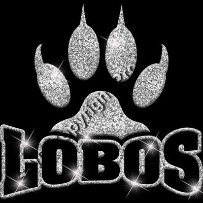 GLT32 SILVER GLITTER Thumbnail